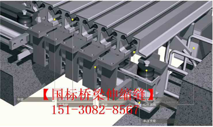 模數(shù)式橋梁伸縮縫裝置 良品*標**模數(shù)式伸縮縫