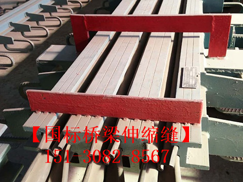 模數(shù)式橋梁伸縮縫裝置 良品*標**模數(shù)式伸縮縫