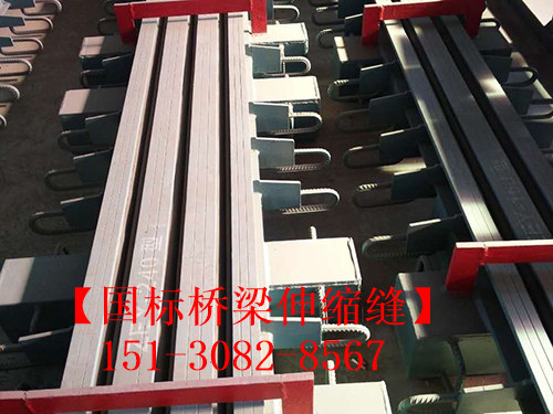 模數(shù)式橋梁伸縮縫裝置 良品*標**模數(shù)式伸縮縫