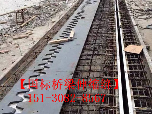 良品淺埋式橋梁伸縮縫裝置 *標(biāo)橋梁伸縮縫廠(chǎng)家