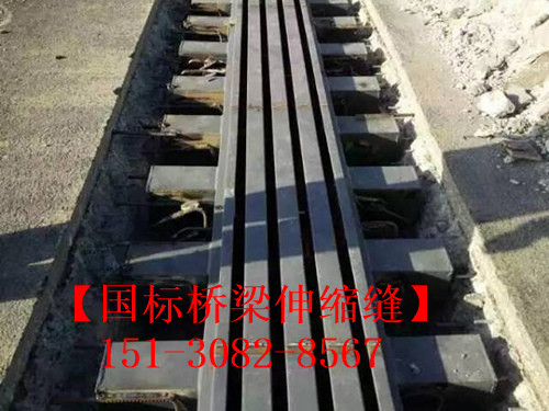 模數(shù)式橋梁伸縮縫裝置 良品*標**模數(shù)式伸縮縫