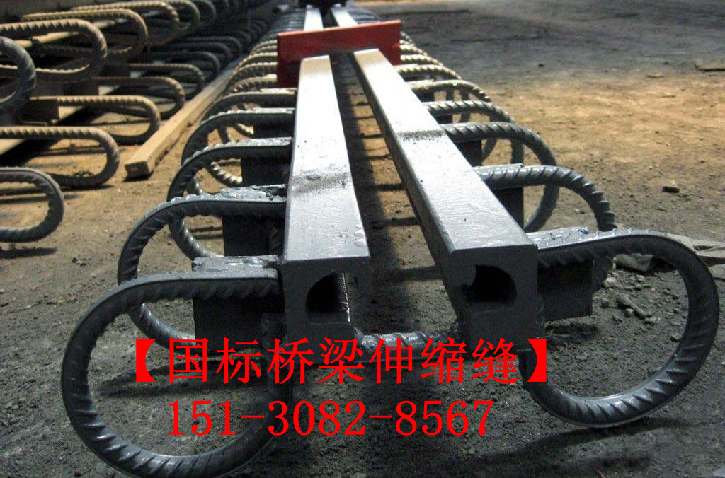路面伸縮縫 良品*標(biāo)公路鐵路橋梁伸縮縫裝置