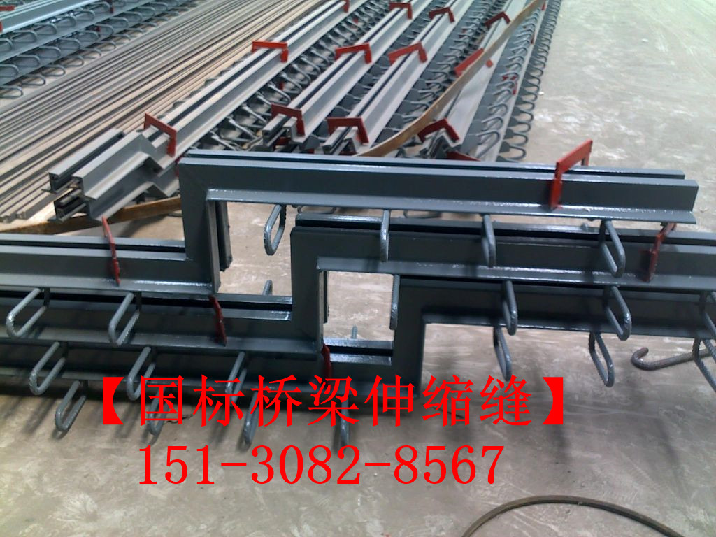 路面伸縮縫 良品*標(biāo)公路鐵路橋梁伸縮縫裝置