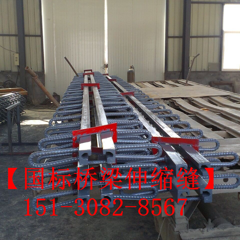 路面伸縮縫 良品*標(biāo)公路鐵路橋梁伸縮縫裝置