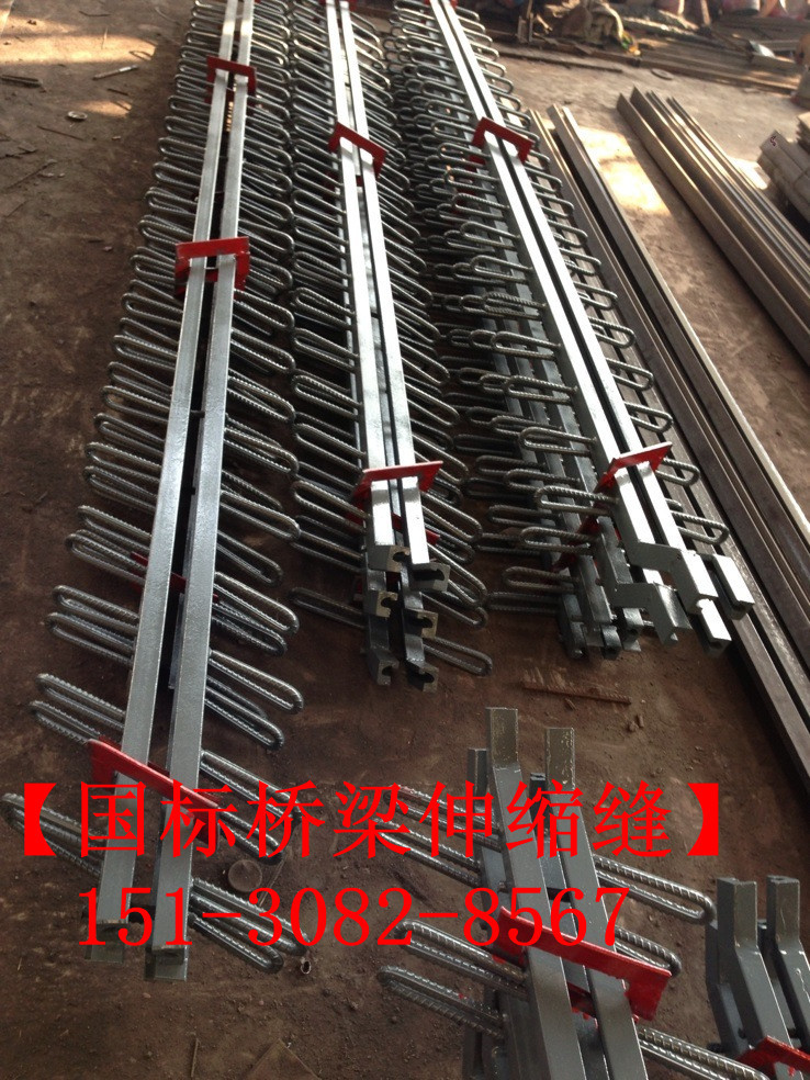路面伸縮縫 良品*標(biāo)公路鐵路橋梁伸縮縫裝置