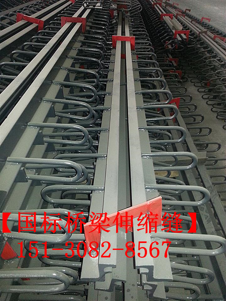 路面伸縮縫 良品*標(biāo)公路鐵路橋梁伸縮縫裝置