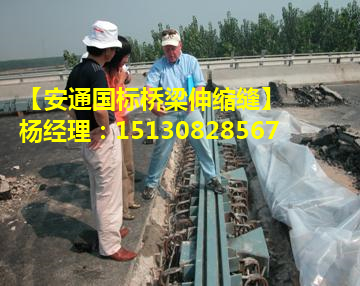 減震緩沖伸縮縫 良品新型高性能大伸縮量橋梁伸縮縫2