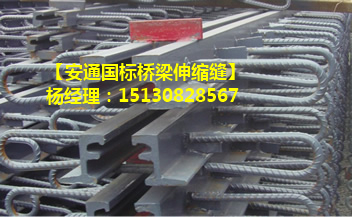 良品模數(shù)式橋梁伸縮裝置和KS伸縮裝置現(xiàn)貨2