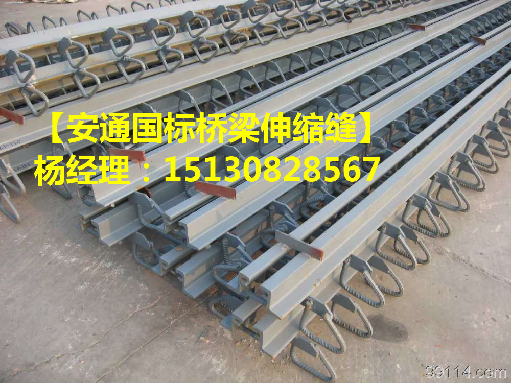 減震緩沖伸縮縫 良品新型高性能大伸縮量橋梁伸縮縫1