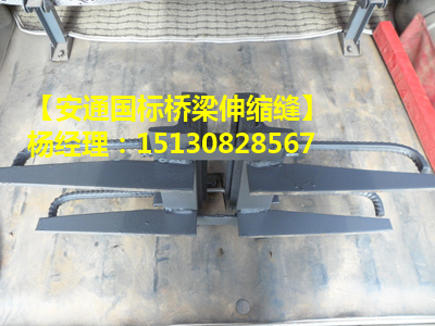 GQF-C、F、E、Z、L型橋梁伸縮縫裝置 *標(biāo)伸縮縫2