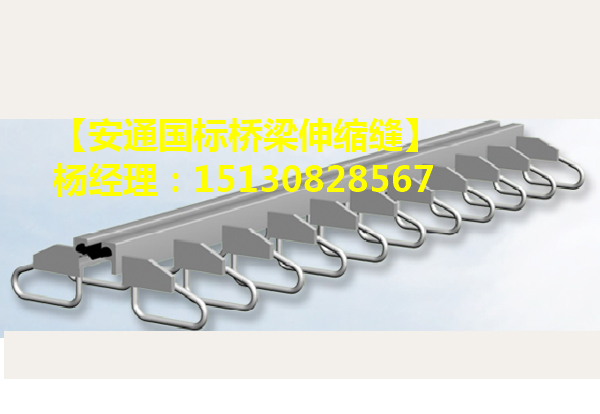 良品D240型模數(shù)式橋梁伸縮縫裝置廠家直銷1