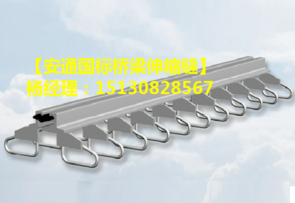 良品D240型模數(shù)式橋梁伸縮縫裝置廠家直銷2