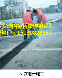 TST橋梁伸縮縫 瀝青填充式橋梁伸縮縫 無縫伸縮縫廠家6