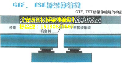 TST橋梁伸縮縫 瀝青填充式橋梁伸縮縫 無縫伸縮縫廠家1