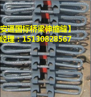 模數(shù)式橋梁伸縮縫 良品毛勒型橋梁伸縮縫廠家