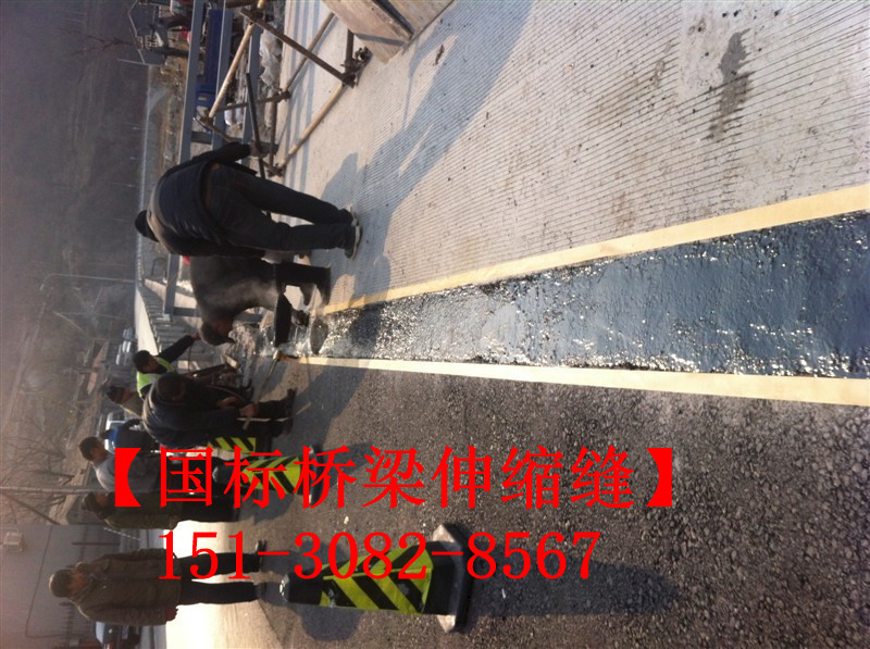 TST彈塑體無縫伸縮縫廠家 GTF高彈體伸縮縫*標(biāo)2