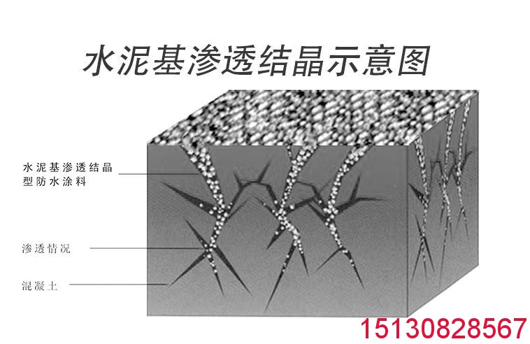 水泥基滲透結(jié)晶型防水涂料 認準橡塑*標正品3
